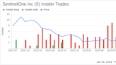 Insider Sell: SentinelOne Inc CFO David Bernhardt Disposes of 40,000 Shares