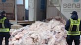 Transportaba 7500 kilos de carne de forma ilegal en un camión de La Pampa a Cipolletti - Diario Río Negro