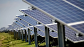 Government approves solar farm despite opposition