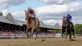 Review of Saratoga horse deaths last year finds no definitive cause. Rainfall could have been one