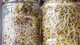 Bean Sprouts Benefits: Fresh, Canned, or Stir-Fried