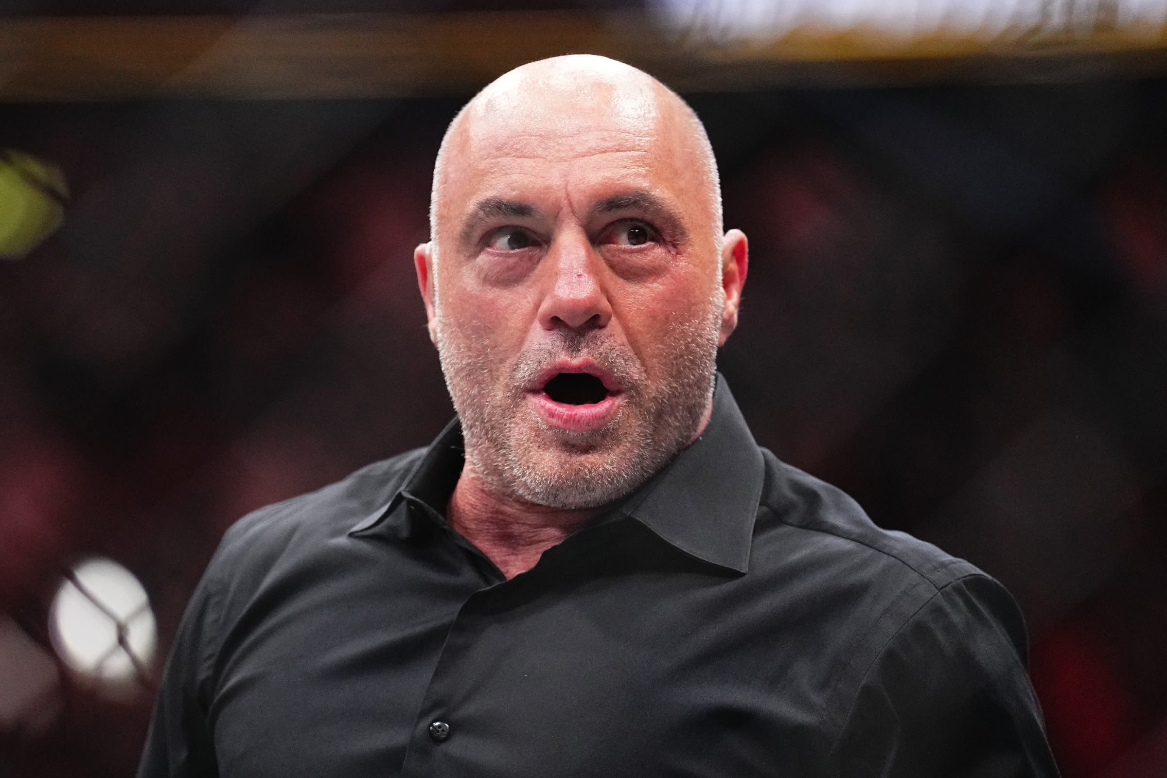 Joe Rogan reveals what could be 'game over for the human race'