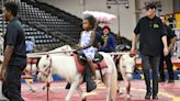 Free circus animals, vote for freedom, governor shows backbone, more | Wednesday’s letters