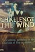 Challenge the Wind