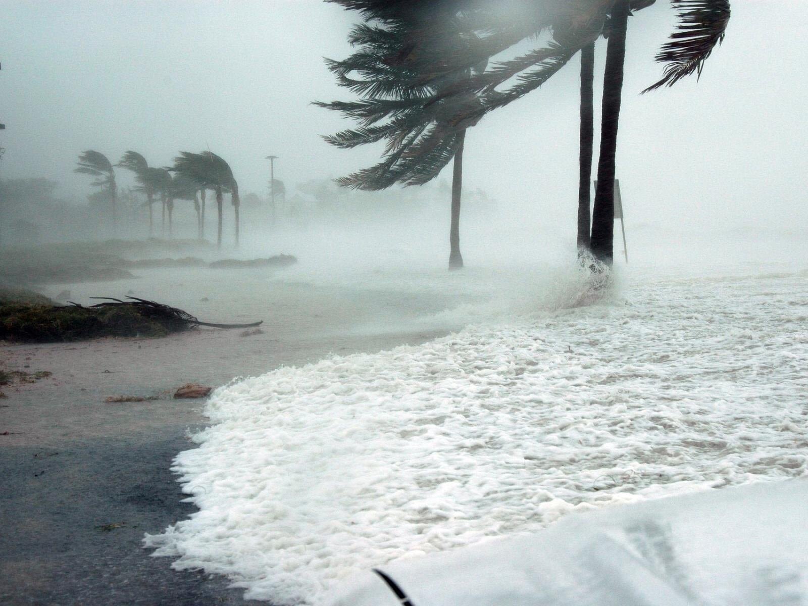 Coastal hurricanes around the world are intensifying faster, new study finds