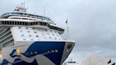 Cruise ship docks in Sydney after 800 people on board infected by COVID outbreak