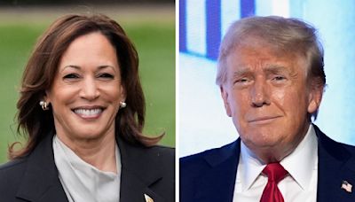 Trump y Harris inician sprint de 99 días para decidir unas elecciones que han cambiado de repente