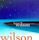 Imagination (Brian Wilson album)
