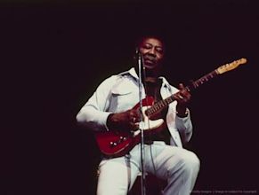 Muddy Waters