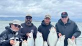 Bay stripers, halibut and deepwater rockfish provide top Labor Day weekend fishing