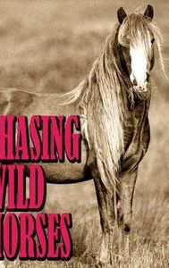 Chasing Wild Horses