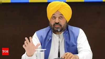 Not flour, only wheat to be given under 'Ghar Ghar ration scheme': Punjab CM Bhagwant Mann | Chandigarh News - Times of India