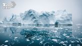 汙染海生物吃下肚！ 格陵蘭島民「血液致癌物」超標