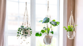 Stop Scrolling: This Macramé Hanging Planter Is Only $10 on Amazon