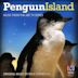 Penguin Island