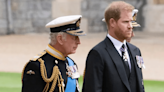 Charles "could have found time" to see Harry, Royal Photographer says