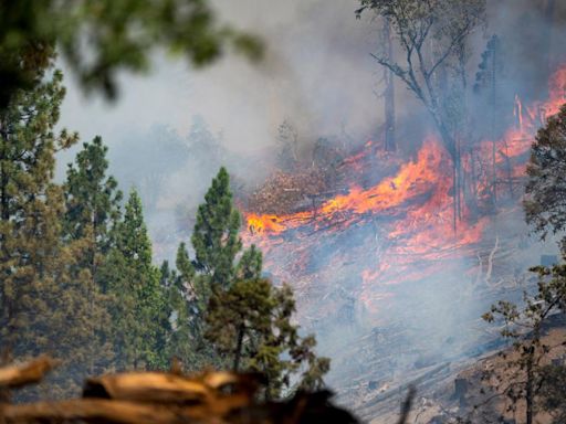 Park Fire Updates: Evacuations impacting Butte, Plumas, Shasta and Tehama counties