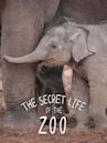 The Secret Life of the Zoo
