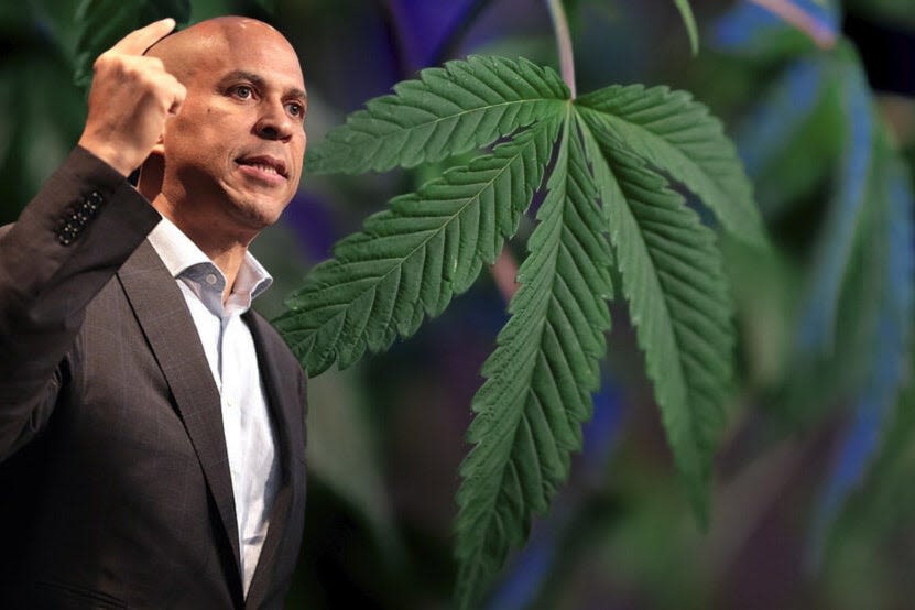 Cory Booker Lights Up California Cannabis Facility In Drive for Federal Legalization, Tells Workers 'I've Been in the Trenches'