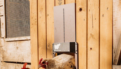 These Are the Safest and Most Reliable Automatic Doors for Your Chicken Coop