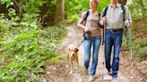 10 things to bring on your next hike with your dog