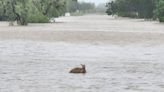 Hundreds airlifted to safety by military helicopters as northwest Australia sees ‘once in a century’ floods