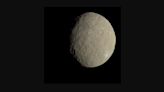 Astronomers spy new class of dark, water-rich asteroids like dwarf planet Ceres