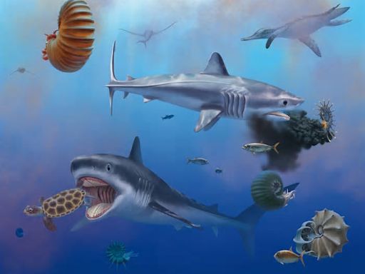 Great White Shark's 'Gigantic' Ancient Relative Revealed