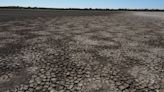 El plan para permitir el riego en torno al parque nacional español de Doñana provoca protestas