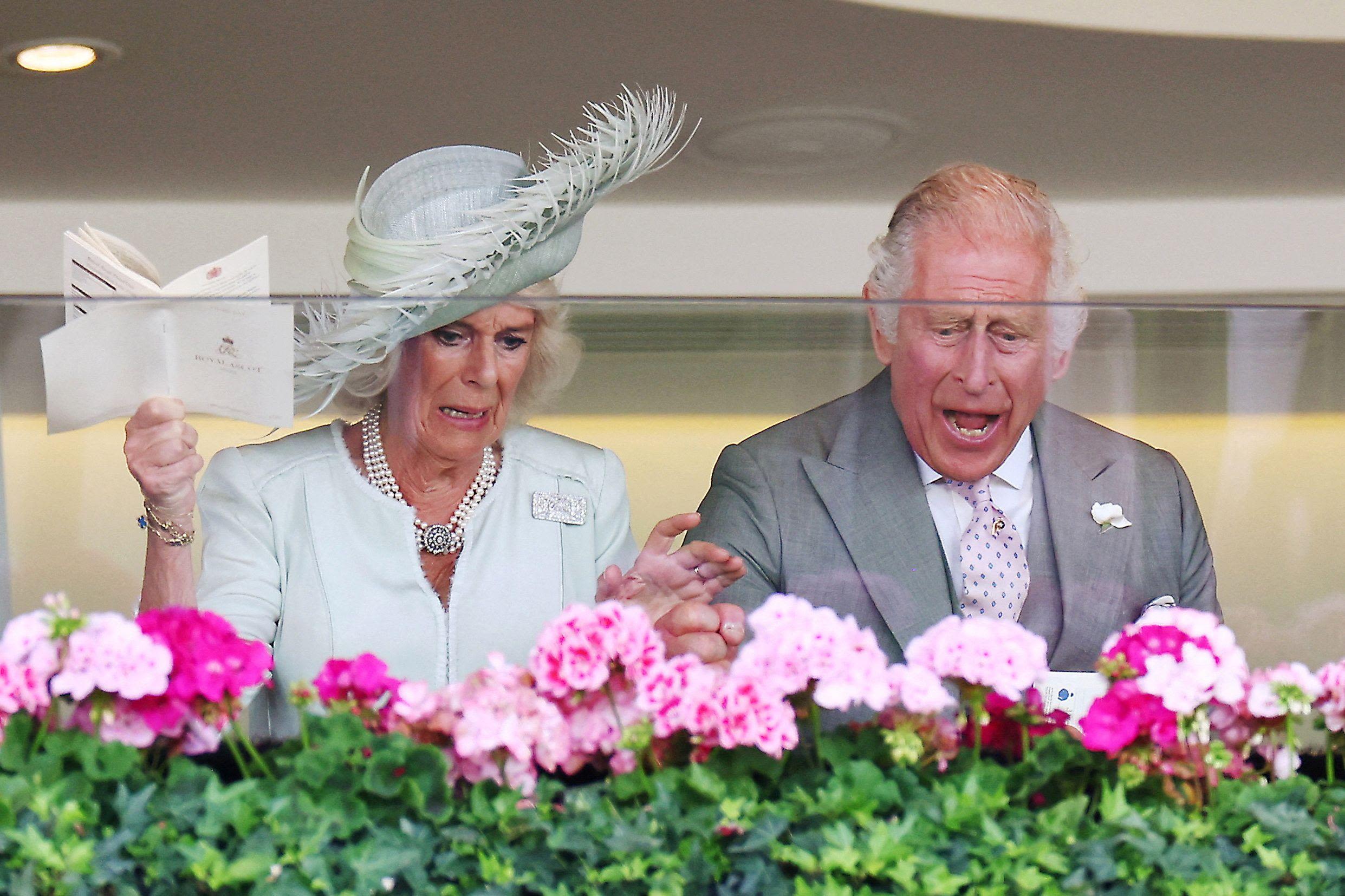 Royal Ascot ready for showpiece meeting