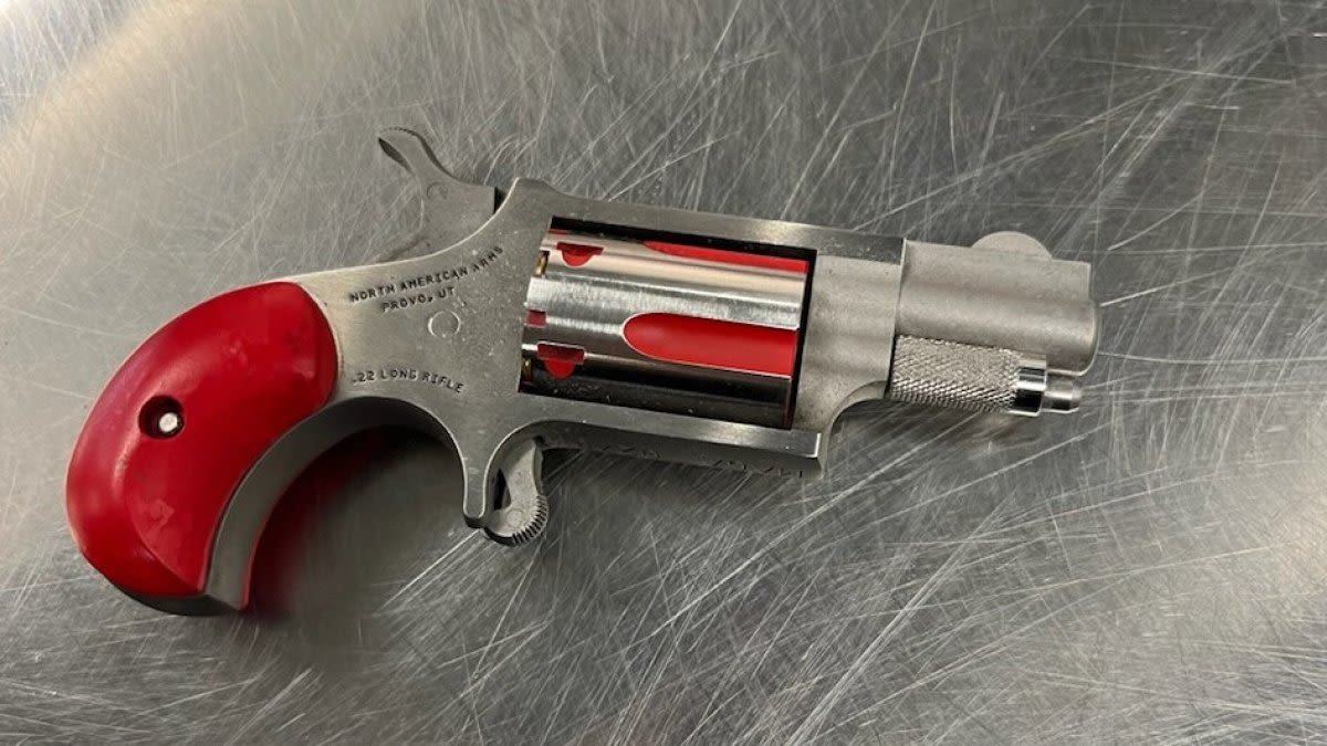 TSA prevents woman from bringing loaded gun into Newark airport, officials say