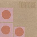 Tortoise