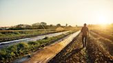 Cambio climático: las emisiones de óxido nitroso se disparan con la creciente demanda de fertilizantes y carne, pero hay soluciones