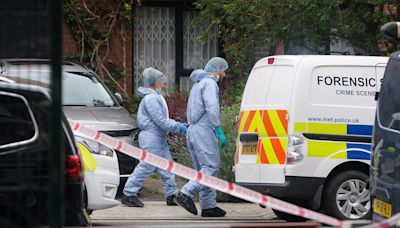 Man arrested in London after suitcases containing body parts found