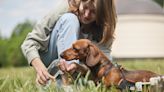 Dachshund keeping himself hydrated during "pawtrol" delights internet