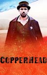 Copperhead (2013 film)