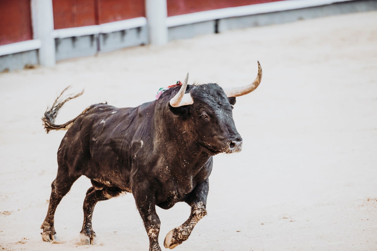 Man gored by bull in southern Utah ghost town