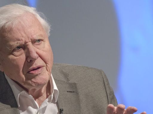 David Attenborough gives two-word warning as BBC star asks for life advice