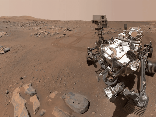 Perseverance Picks Up New "Companion" On Mars. This One Is Named "Dwayne"