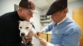 Kentucky has 15 practicing veterinarians over age 85. Here's why some are still working