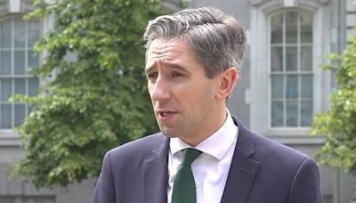 Simon Harris praises Irish peacekeepers and 'poignant' National Day of Commemoration