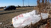 Senado de California vota a favor de proyectos de ley para prohibir bolsas de plástico reciclables - La Opinión