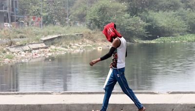 Em semana de eleições, Índia fecha escolas devido a onda de calor que chegou a 47,8ºC