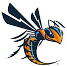 Cedarville Yellow Jackets