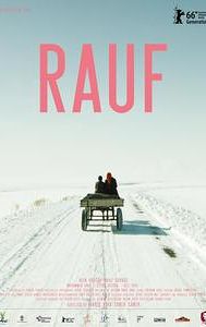 Rauf