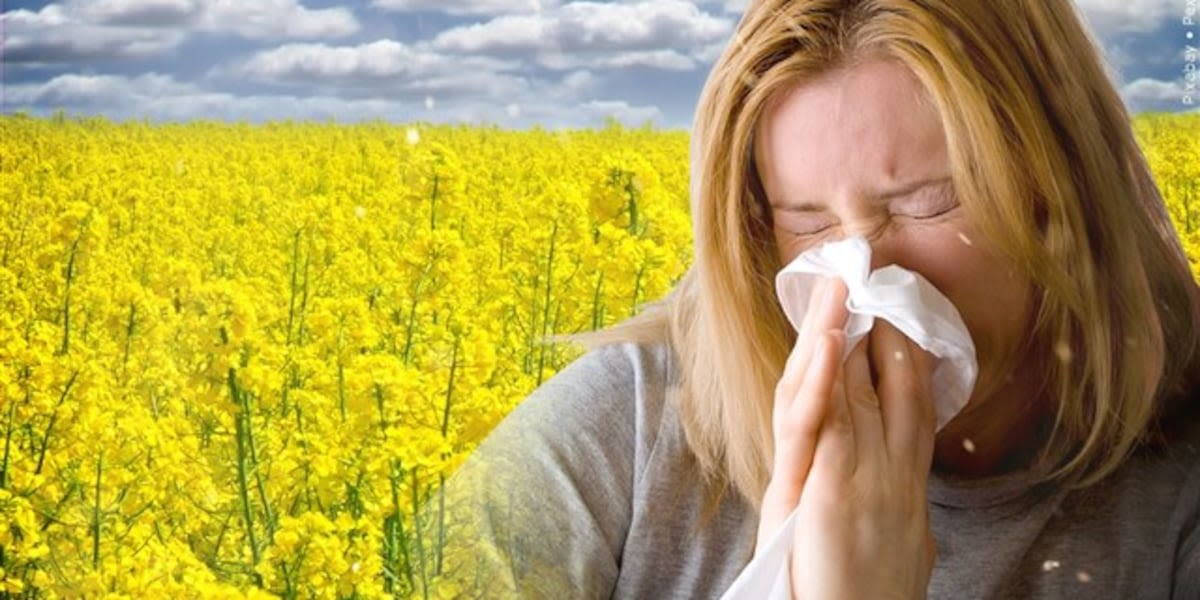 Local health expert offers tips to survive this allergy season
