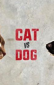 Dogs vs. Cats