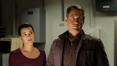 The Tony/Ziva NCIS Spinoff: Cote de Pablo and Michael Weatherly Reveal Title