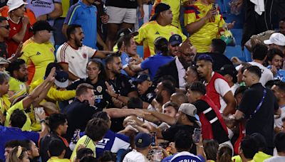 Núñez, Uruguay players jump in stands after loss