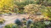 10 Xeriscaping Ideas That Will Make Your Garden More Hands-Off and Sustainable